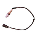 Sensor Oxígeno 4 vías conector chico negro 65 cm 06A906262CK - VW Seat Audi